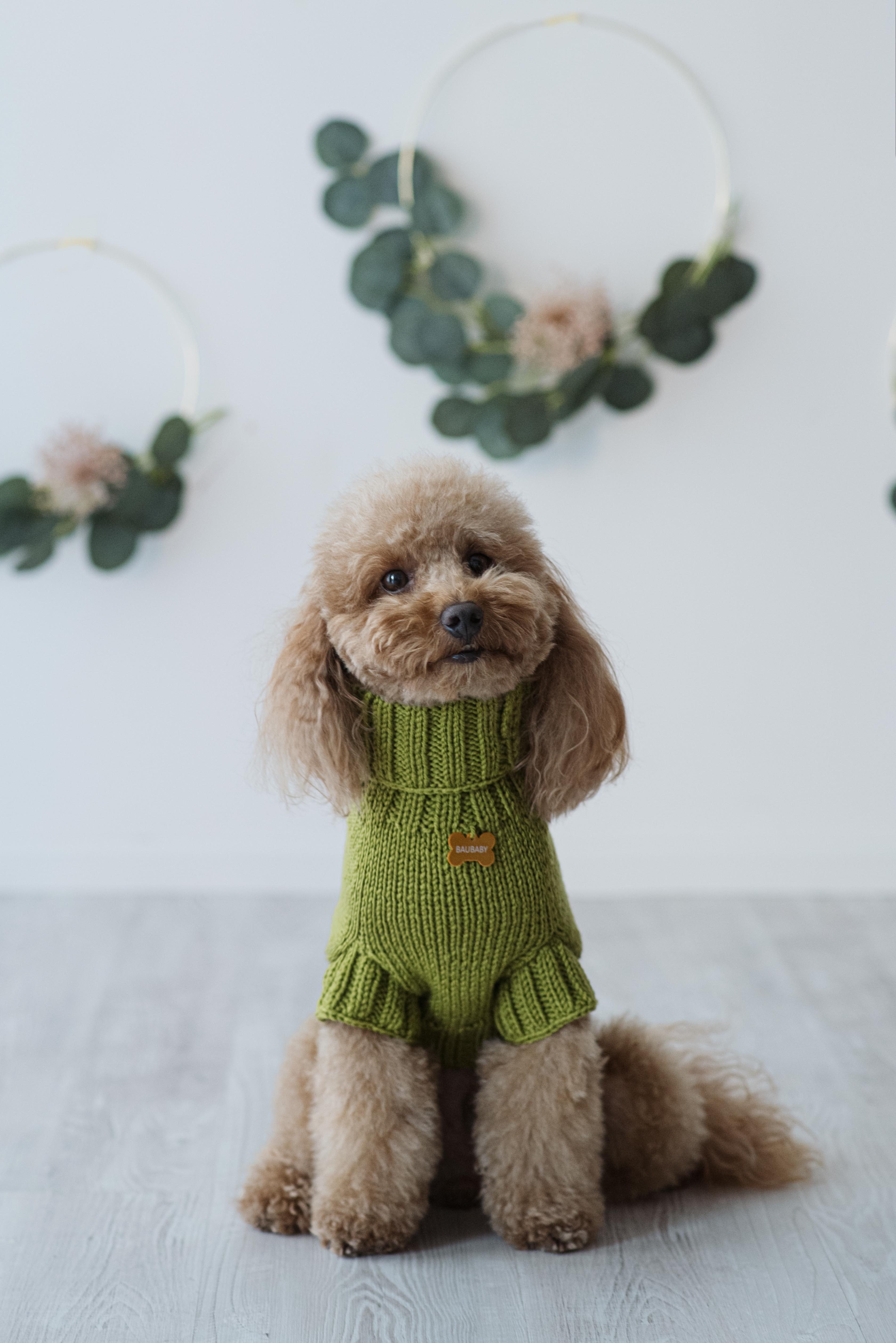 Solid color wool sweater - handmade