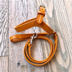 Camel leather leash