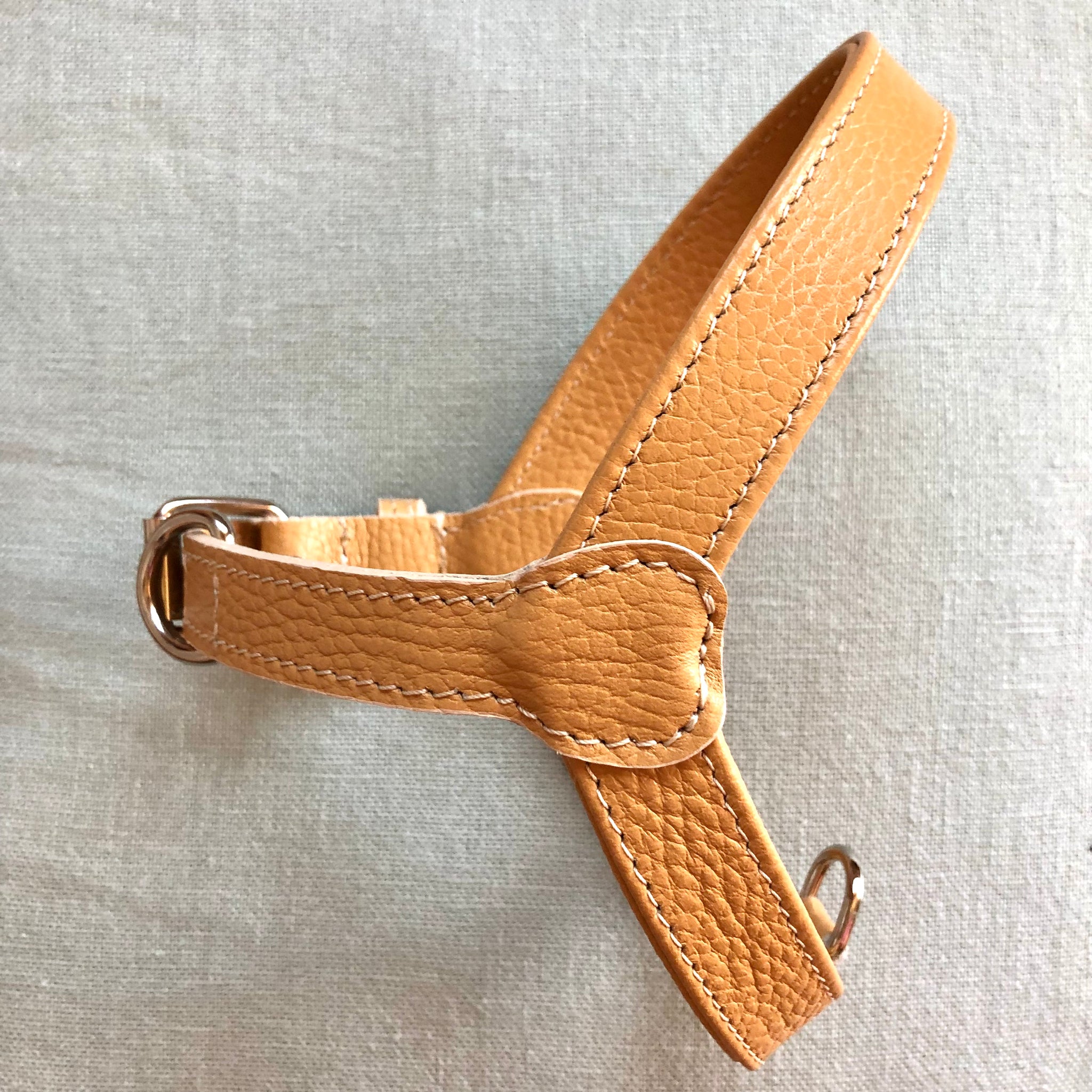 Camel leather harness