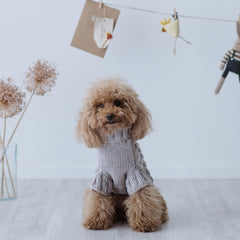 Maglioncino "Taupe Elegance" a Treccia - Fatto a mano in Lana Merino - per cani di piccola taglia