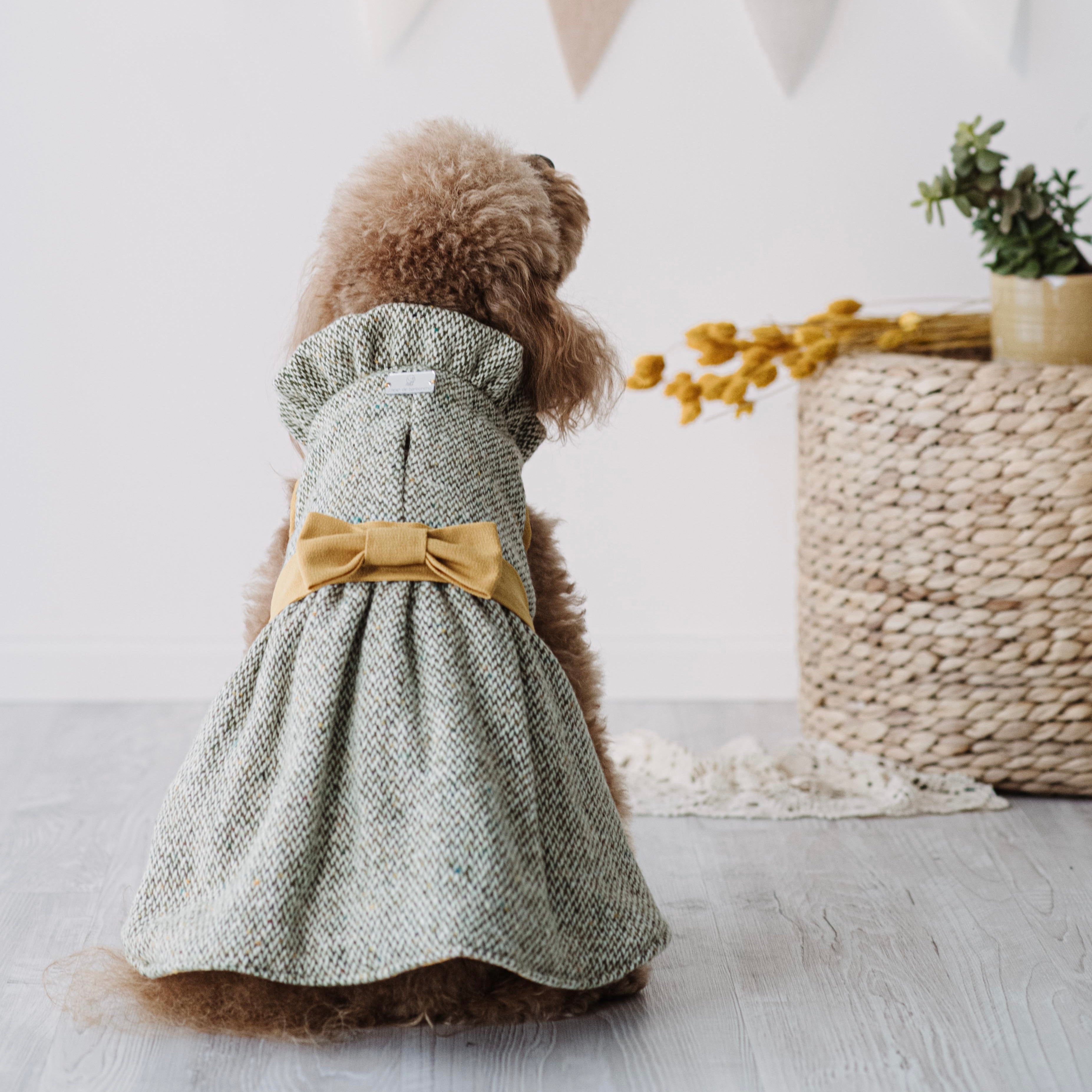 "Tweed Romance" Cappottino Elegante per Barboncini | Verde e Ocra | Abbigliamento per Cani