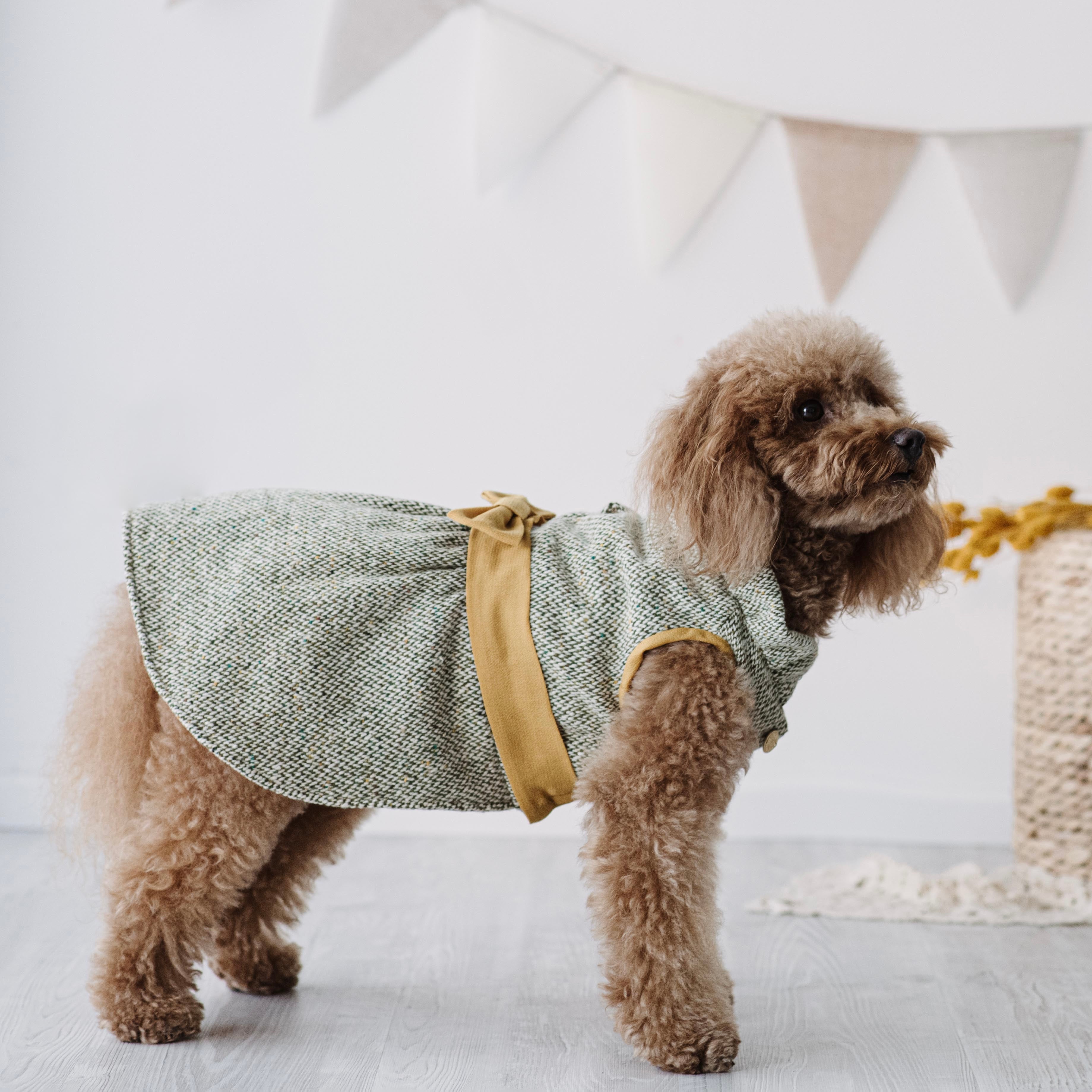 "Tweed Romance" Cappottino Elegante per Barboncini | Verde e Ocra | Abbigliamento per Cani