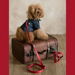 Red leather harness